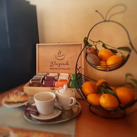 Hotel Roko 3*